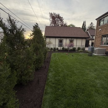 Privacy tree and shrub row planting along fence in Milwaukee